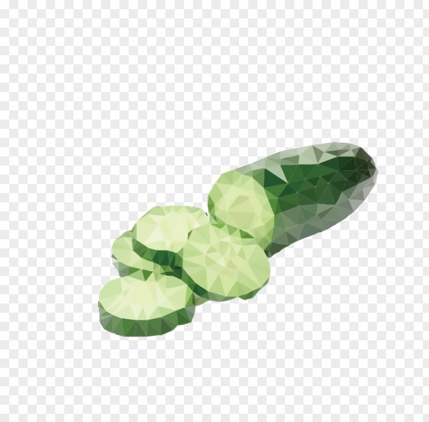 Vector Cucumber Vegetable Auglis PNG