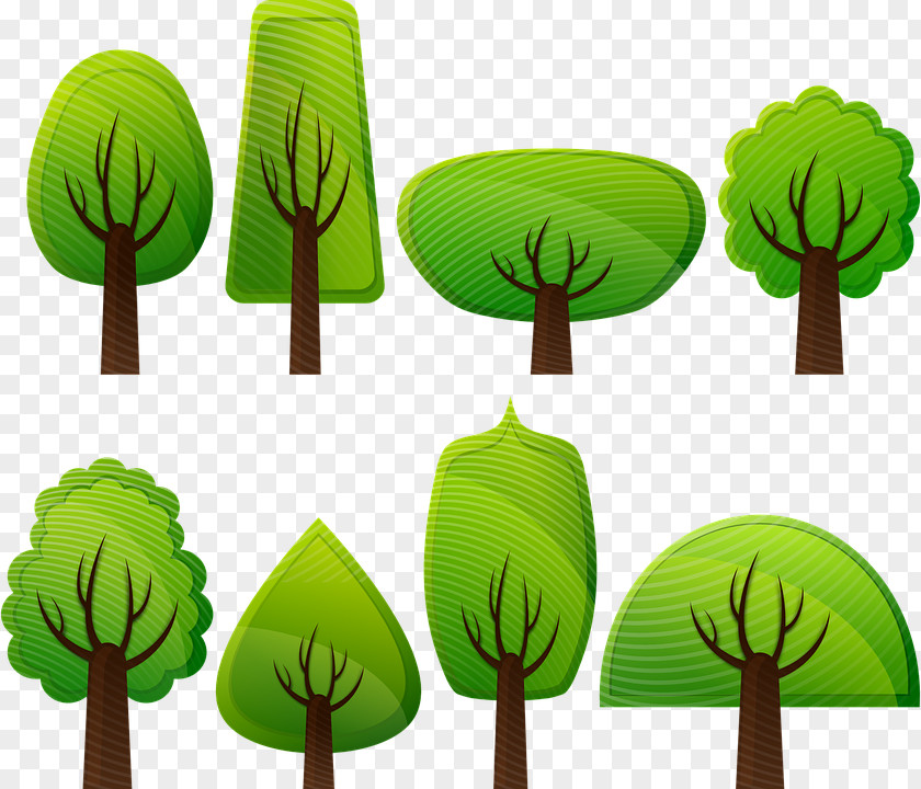 Deciduous Leaves Tree Shrub Clip Art PNG