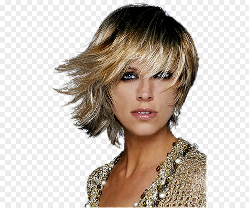 Hair Hairstyle Long Color Fashion PNG