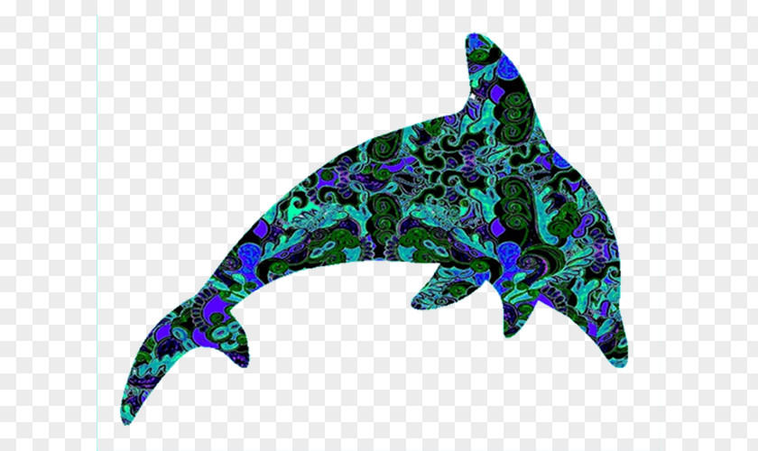 Pattern Dolphin Art Marine Life Clip PNG