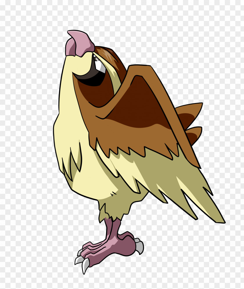 Pidgey Chicken Pokémon GO Pidgeot PNG