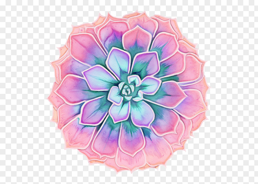 Zinnia Plant Pink Flower Cartoon PNG