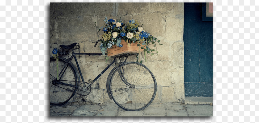 Bicycle Baskets Flower Shop Vintage Clothing PNG