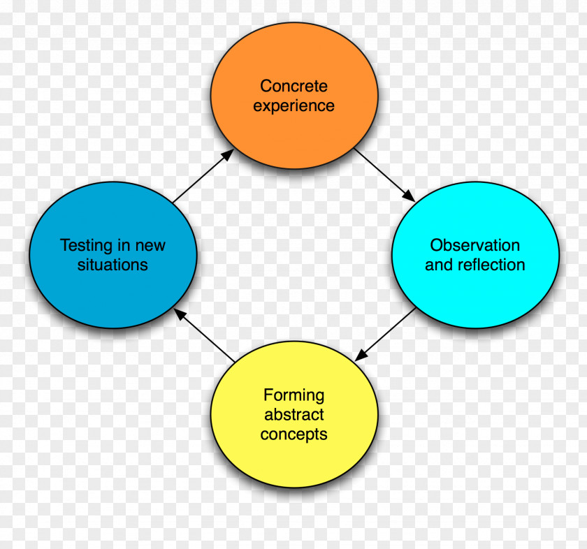 Learning Kolb's Experiential Cycle Styles PNG