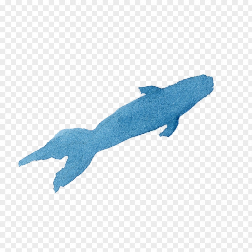 Shark PNG