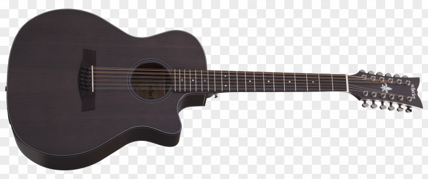 Acoustic Jam Twelve-string Guitar Schecter Research Electric PNG