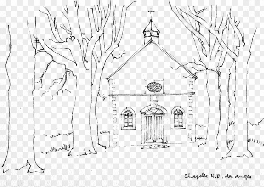 Building Artwork Church Line Art Architecture Sketch PNG