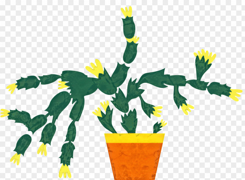 Cactus And Succulents Image Succulent Plant PNG