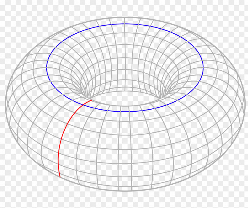 Circle Torus Interconnect Topology Mathematics PNG