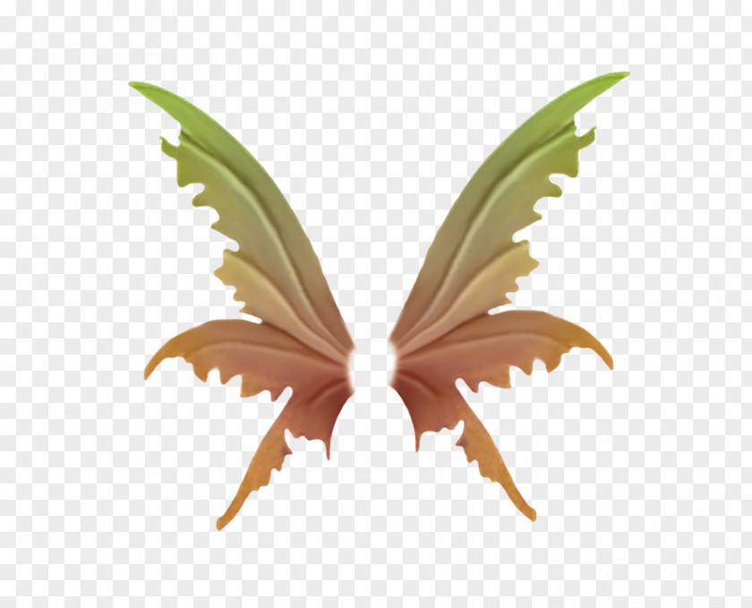 Game Wings Wing PNG