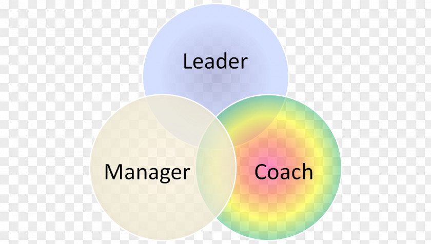 Leader Management Leadership Human Resources Coaching Organization PNG
