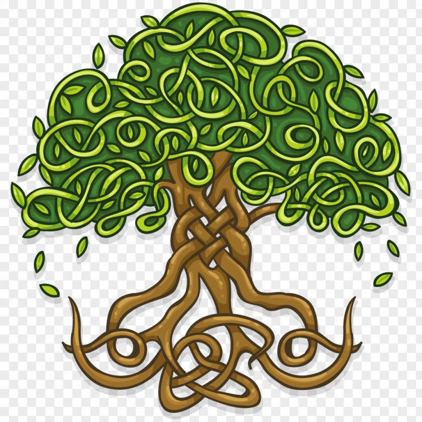 Life T-shirt Tree Of Wall Decal Celtic Sacred Trees PNG