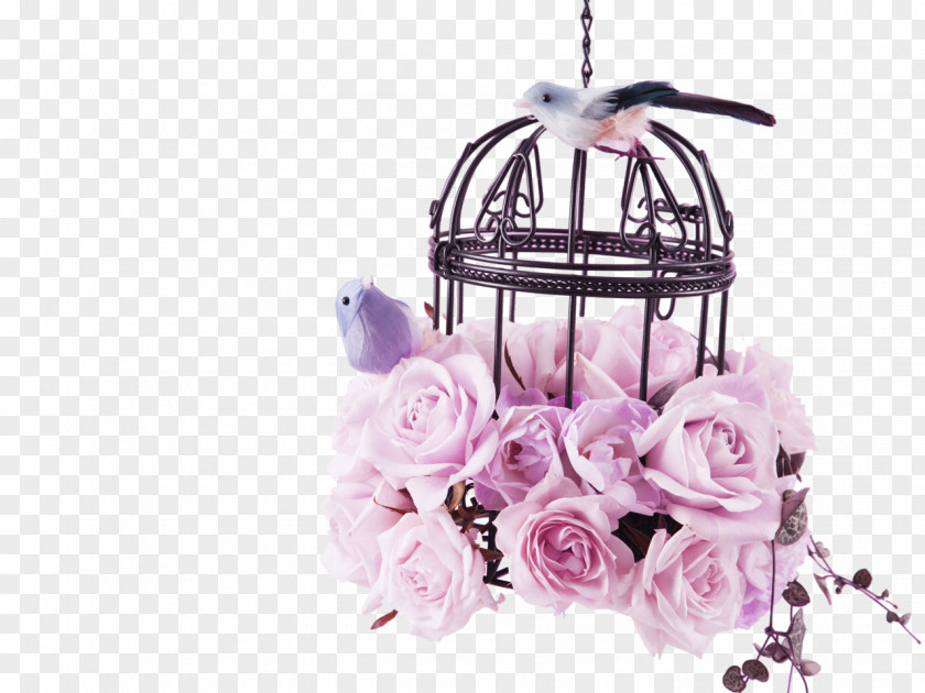 Pink Flower Rose Bird Cage Decoration Pattern Birdcage Pastel PNG