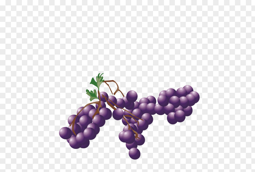 Purple Grape Fruit Auglis PNG