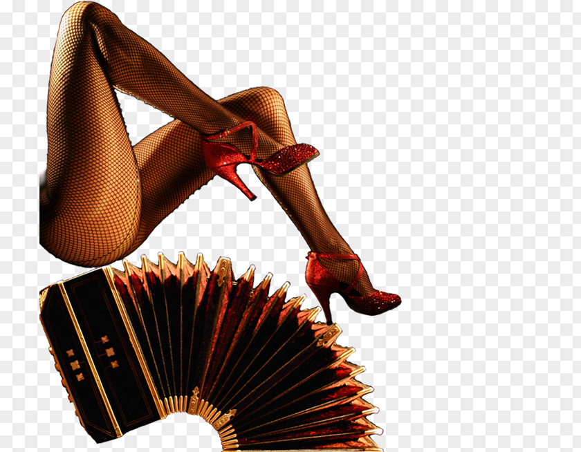 Tango Bandoneon Free Reed Aerophone Sandal High-heeled Shoe PNG