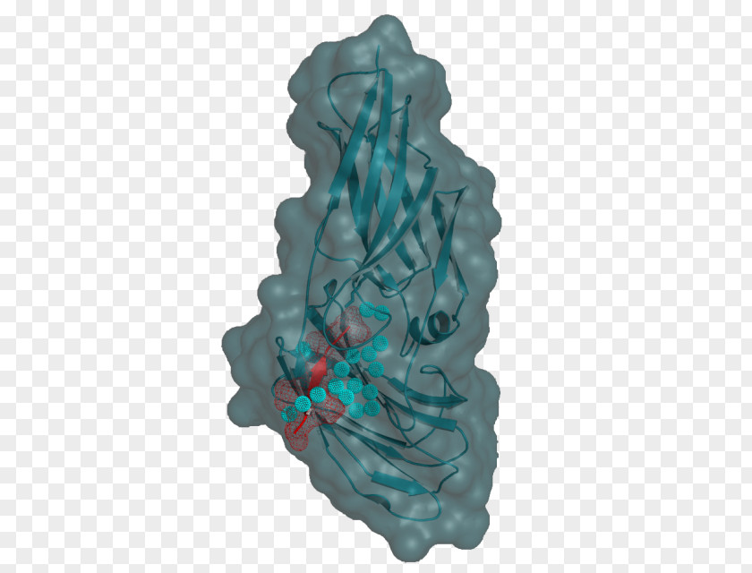 Virus Under Microscope Organism Turquoise PNG