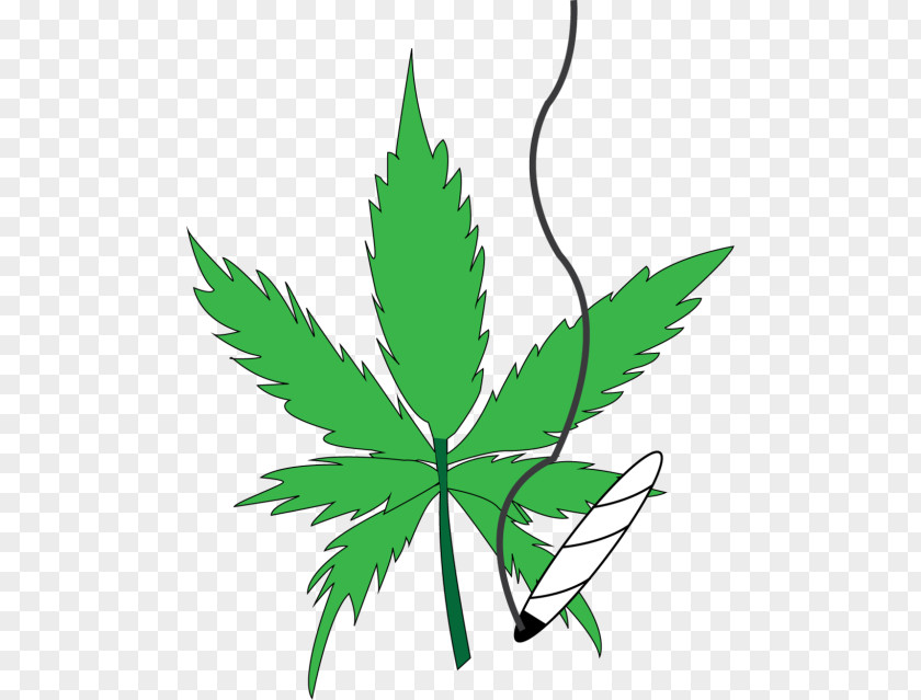 Cannabis Medical Kush Leaf Clip Art PNG