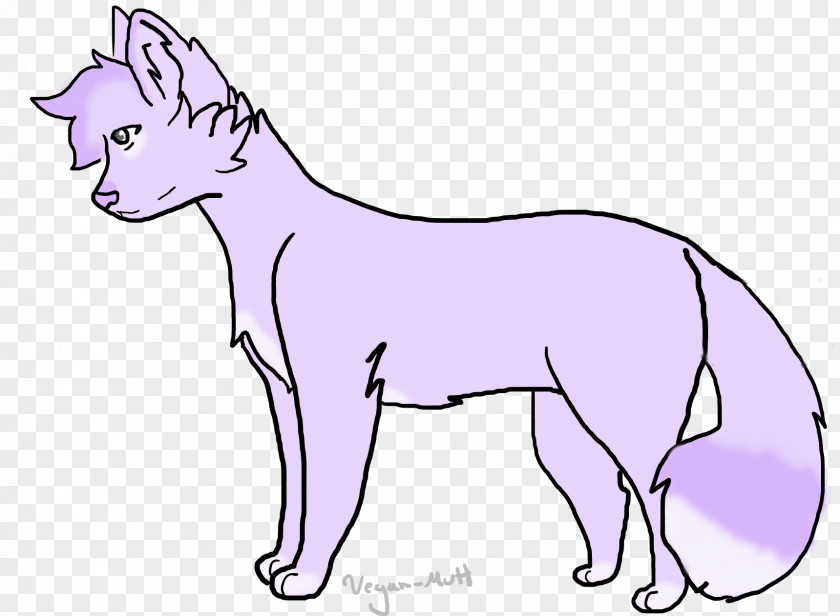 Cat Whiskers Mustang Donkey Dog PNG