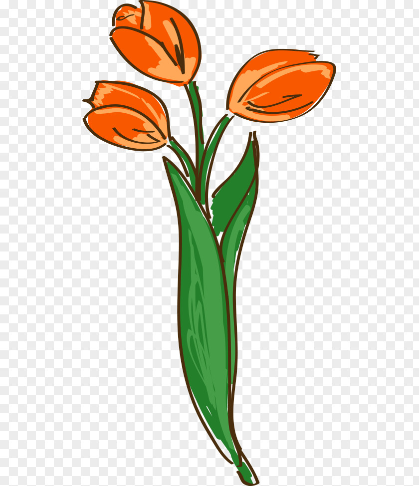 Hand-painted Cartoon Tulips Netherlands Tulip Clip Art PNG