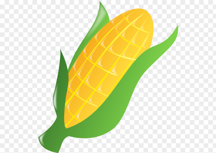 Indian Corn Clipart On The Cob Candy Popcorn Maize Clip Art PNG