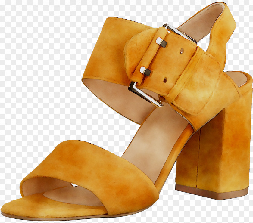 Shoe Sandal PNG
