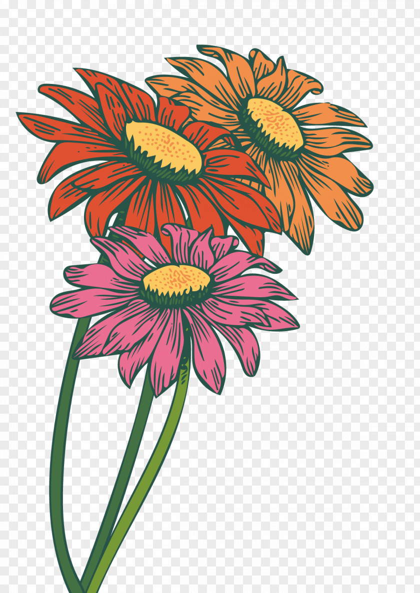 Vector Gerbera Common Daisy Transvaal Sunflower Chrysanthemum PNG