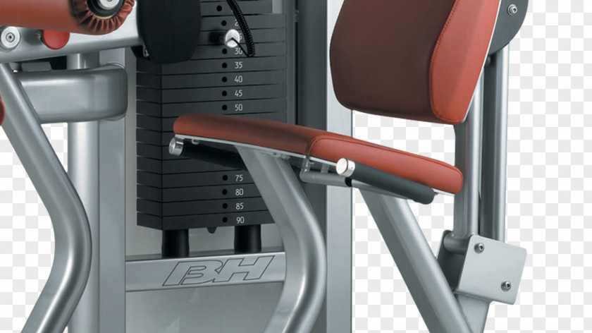 Bodybuilding Exercise Machine Fitness Centre Máquina PNG