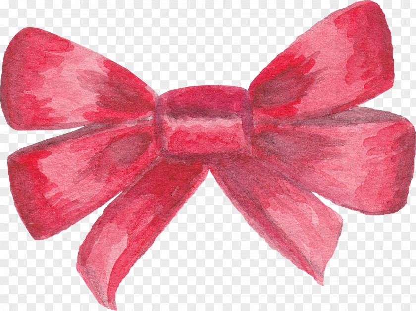 Bowknot Watercolor Image Download Painting PNG