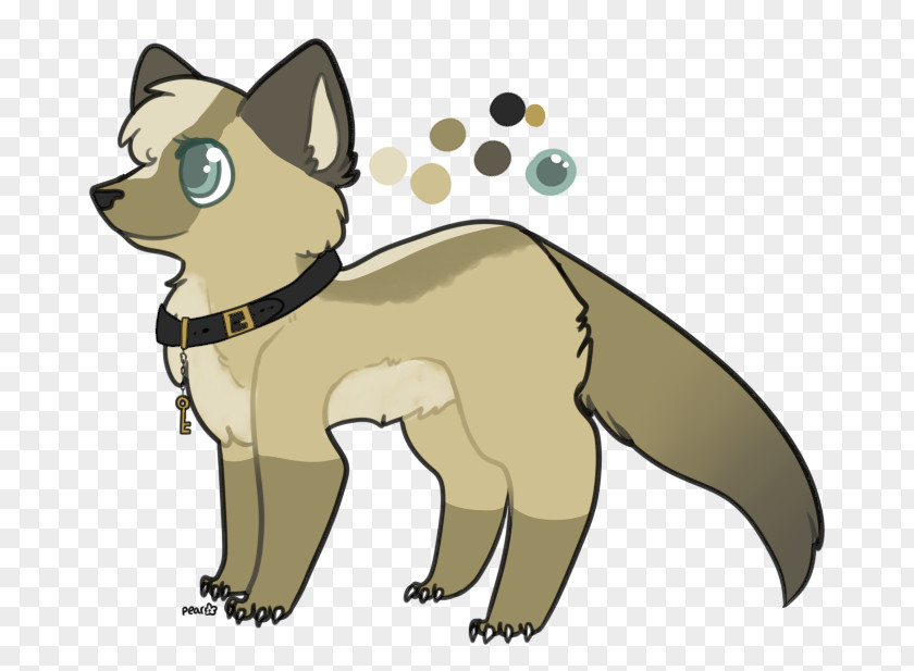 Cat Whiskers Red Fox Dog Procyonidae PNG