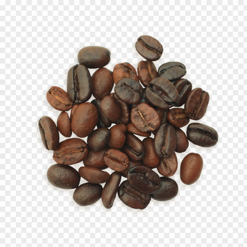 Coffee Beans Jamaican Blue Mountain Cafe Tea Nut PNG