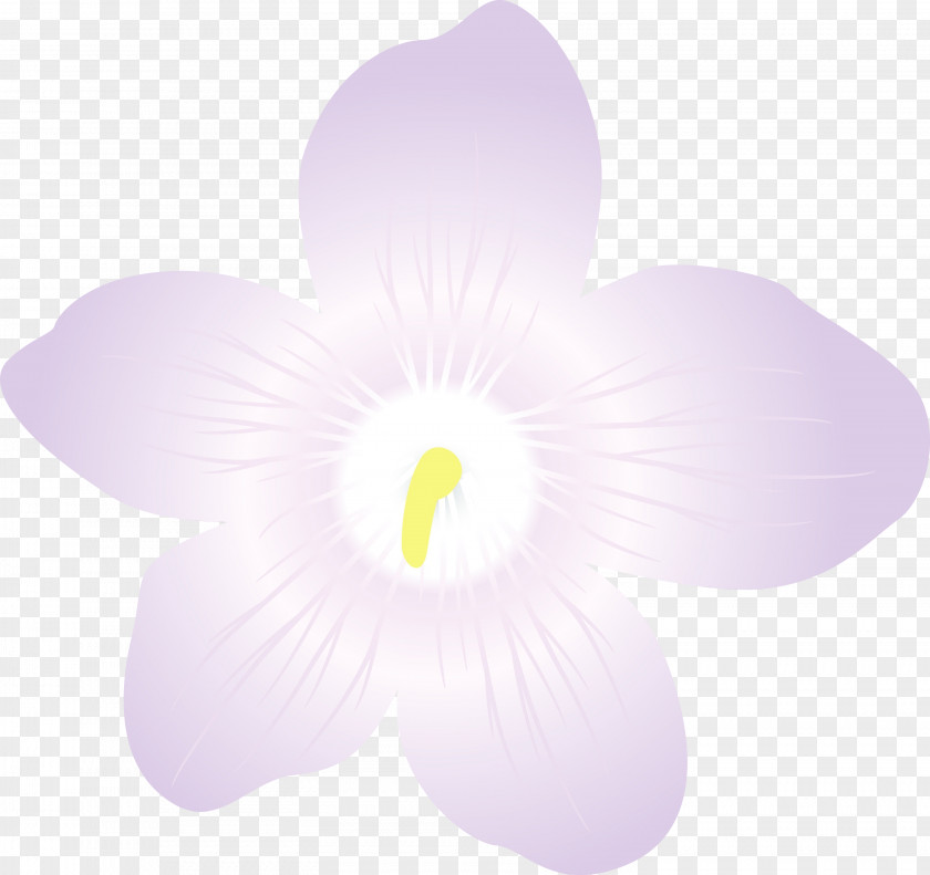 Lavender PNG