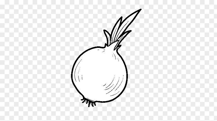 Onion Drawing Coloring Book Food Vegetable PNG