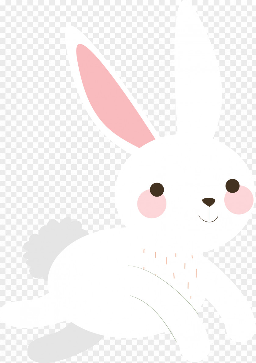 Rabbit Vertebrate Cartoon PNG