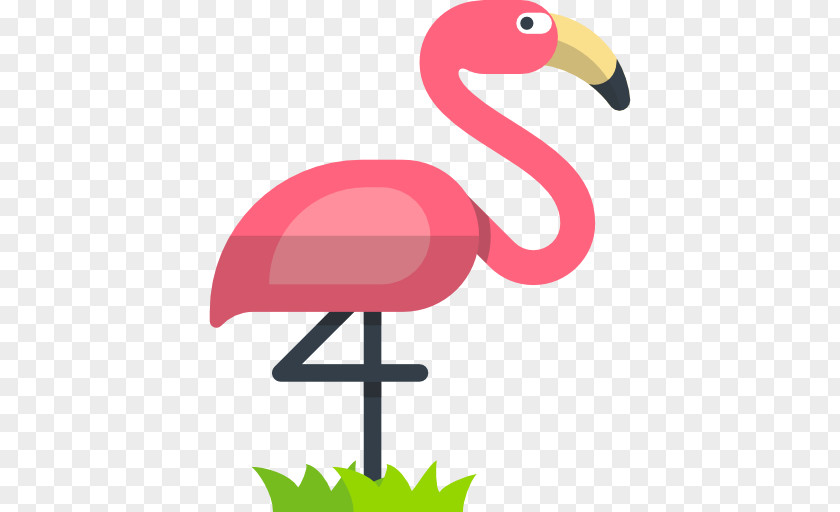 Red Red-crowned Crane Bird Flamingos PNG