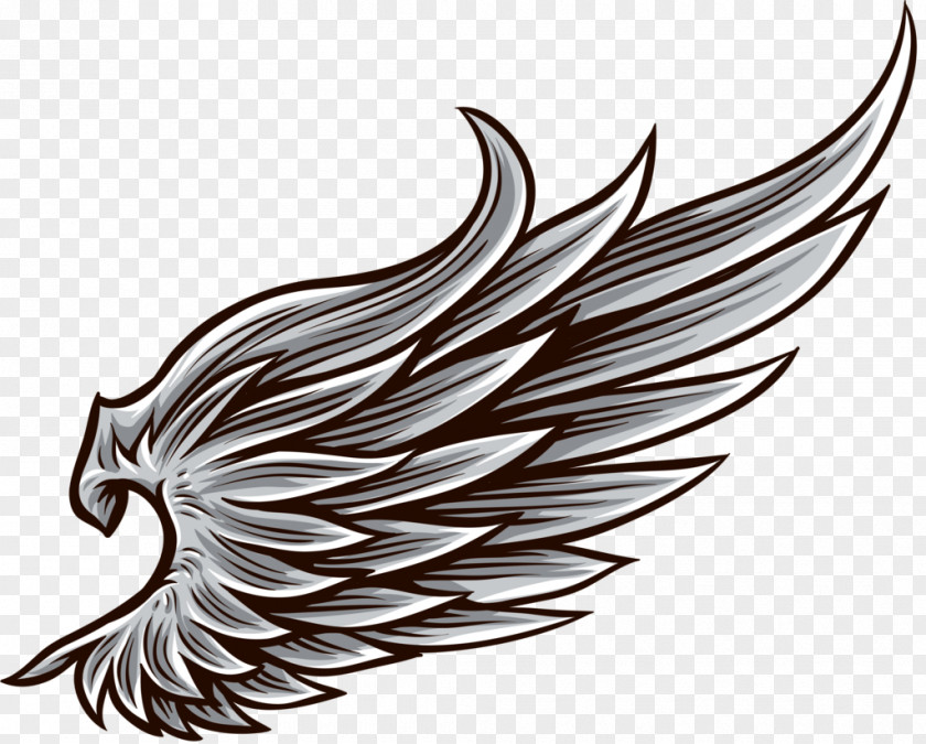 Wings Drawing Royalty-free PNG