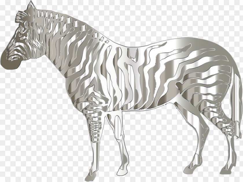 Zebra Quagga Horse Clip Art PNG
