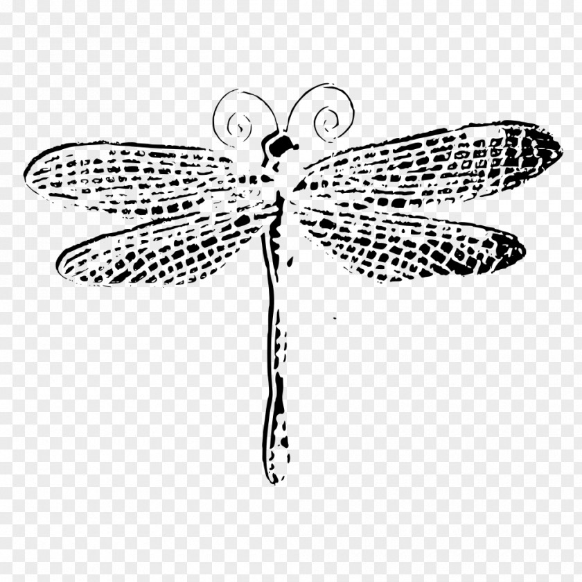 Dragonfly Drawing Butterfly Clip Art PNG
