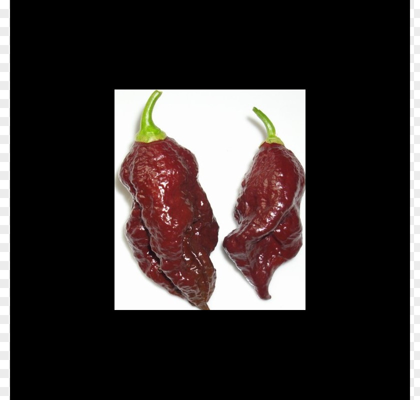 Pepper Habanero Bhut Jolokia Chili Scoville Unit Capsicum Annuum PNG