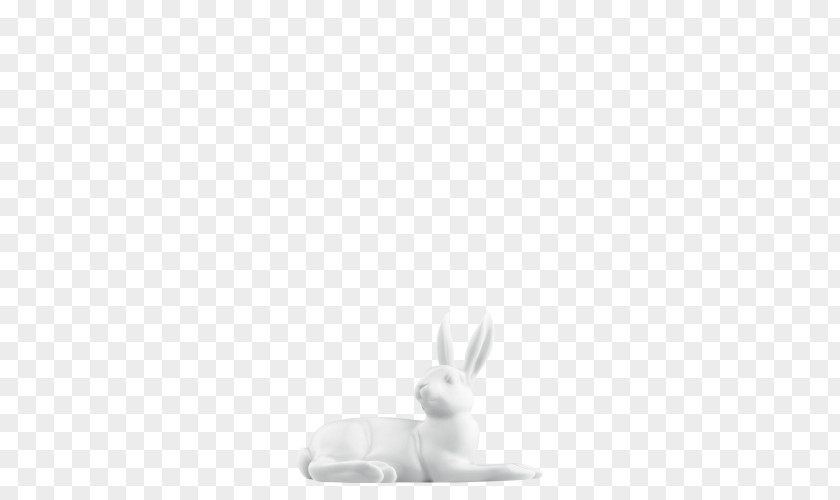 Rabbit Domestic Easter Bunny Hare PNG