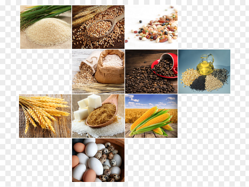 Rice Commodity Wheat PNG