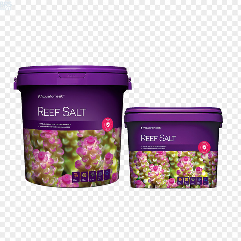 Title Box Sea Salt Coral Reef Aquarium PNG