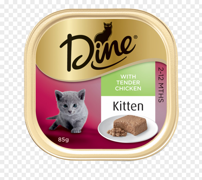 Daily Supplies Cat Food Kitten Fish PNG