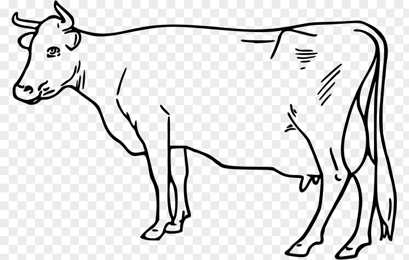 Goat Ayrshire Cattle Taurine Drawing Clip Art PNG