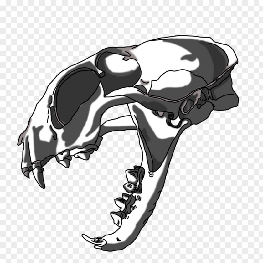 Lynx Double Eleven Skull Automotive Design Car Skeleton PNG