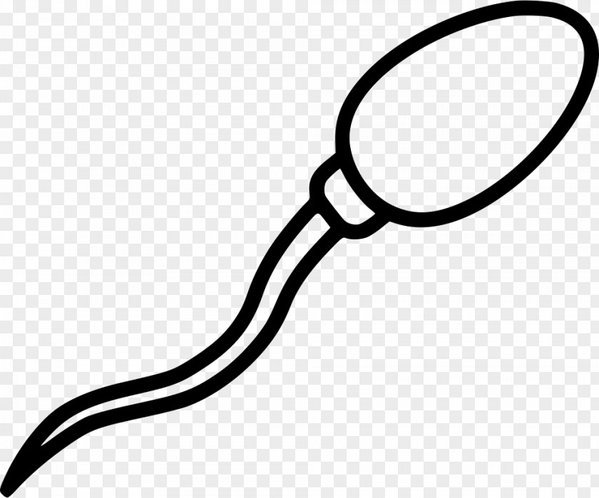 Spermatozoon Clip Art PNG