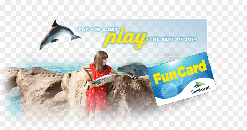 Water Brand Vacation PNG