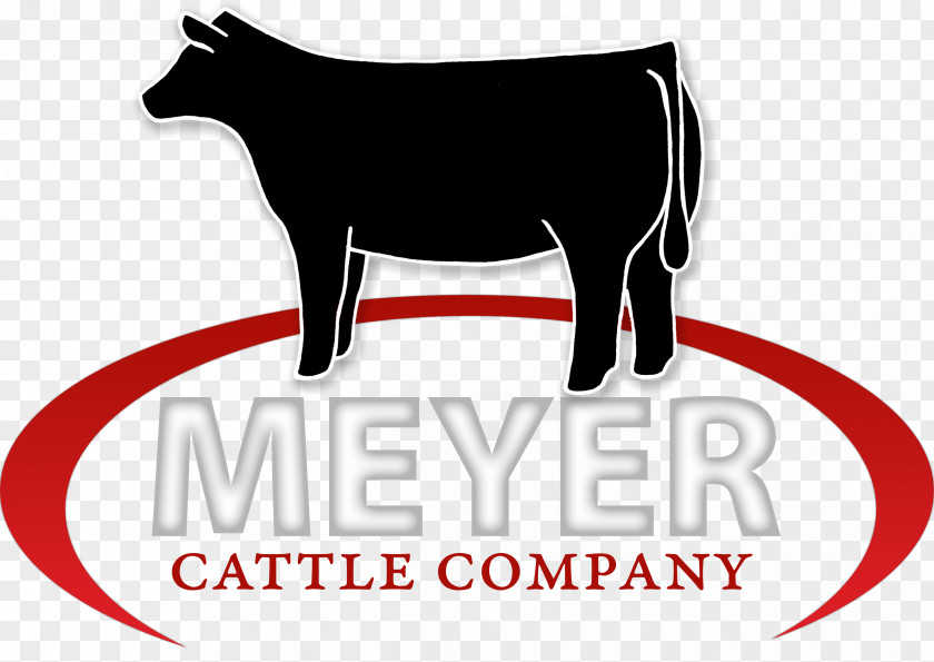 Angus Cattle Shorthorn Gelbvieh Highland CattleCattle Meyer Company PNG