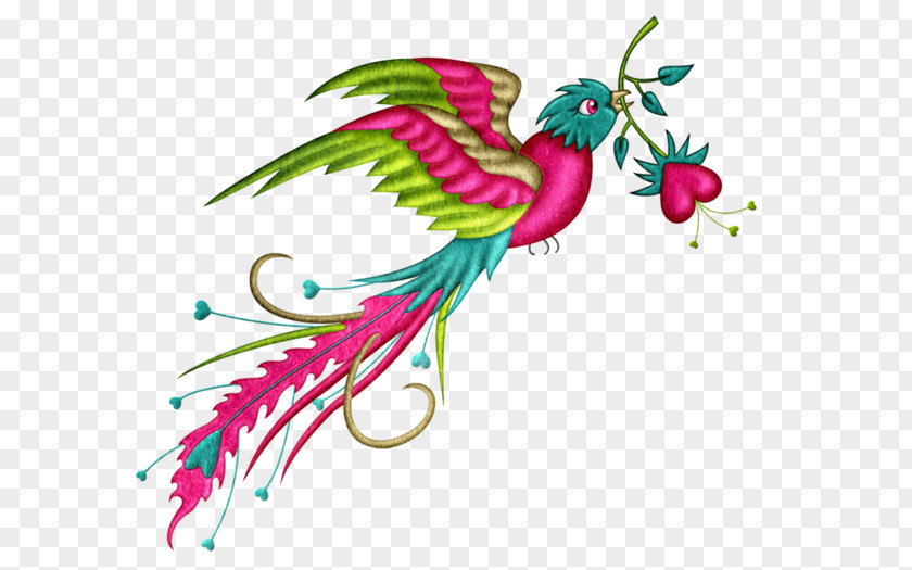 Bird Phoenix Color Clip Art PNG