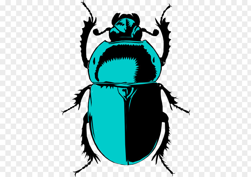 Blowflies Jewel Beetles Beetle Insect PNG