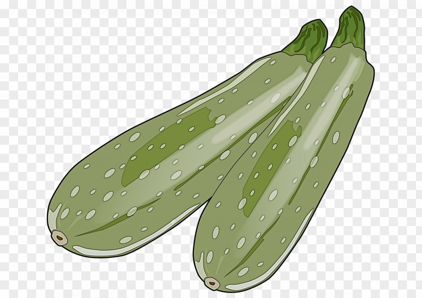 Food Cucumber Gourd And Melon Family Green Plant Leaf Vegetable PNG